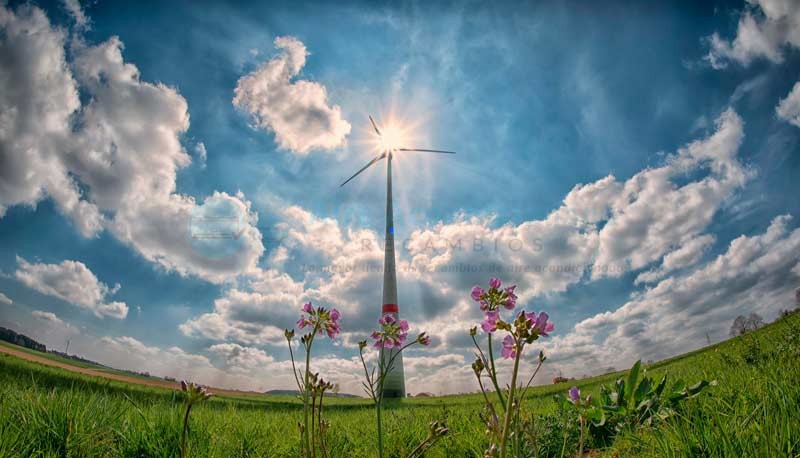 Bioenergía-la-nueva-potencia-renovable